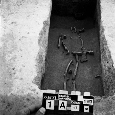 Vladimir Cervenka Situacije 11