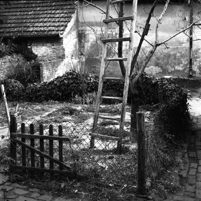 Vladimir Cervenka Situacije 15