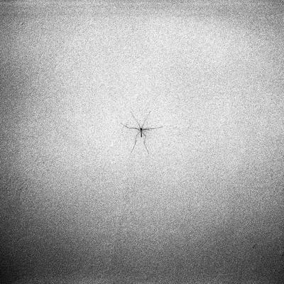 Vladimir Cervenka Situacije 18