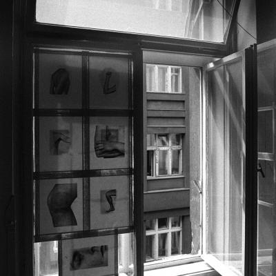 Vladimir Cervenka Situacije 31