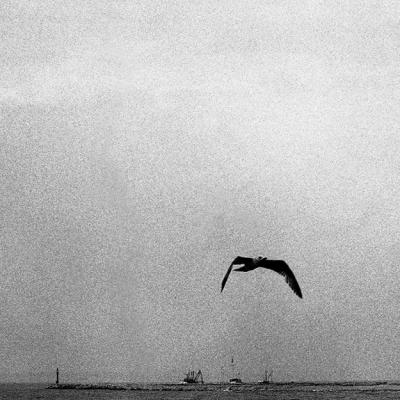 Vladimir Cervenka Voda 10