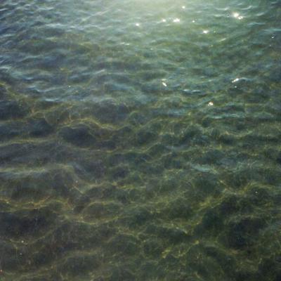 Vladimir Cervenka Voda 36