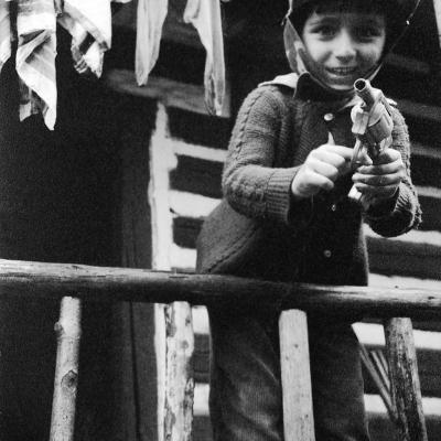 Vladimir Cervenka Deca 12